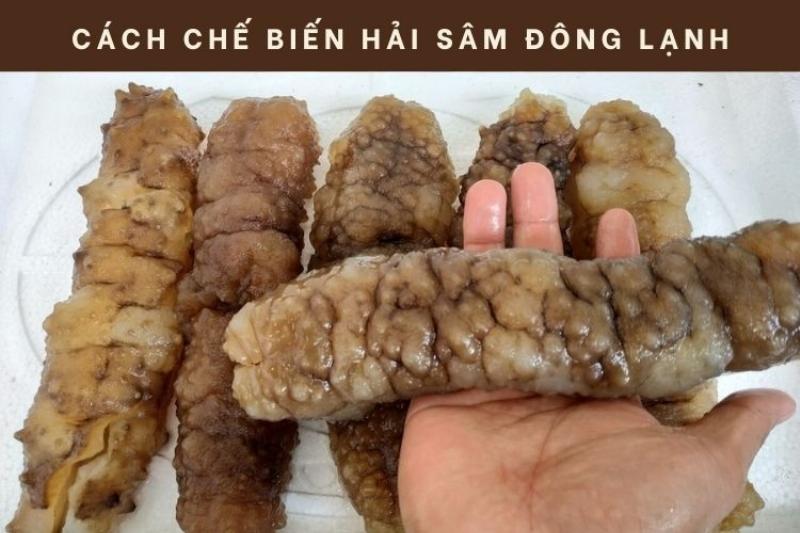 Hướng dẫn rã đông hải sâm đông lạnh đúng cách giữ trọn hương vị và dinh dưỡng
